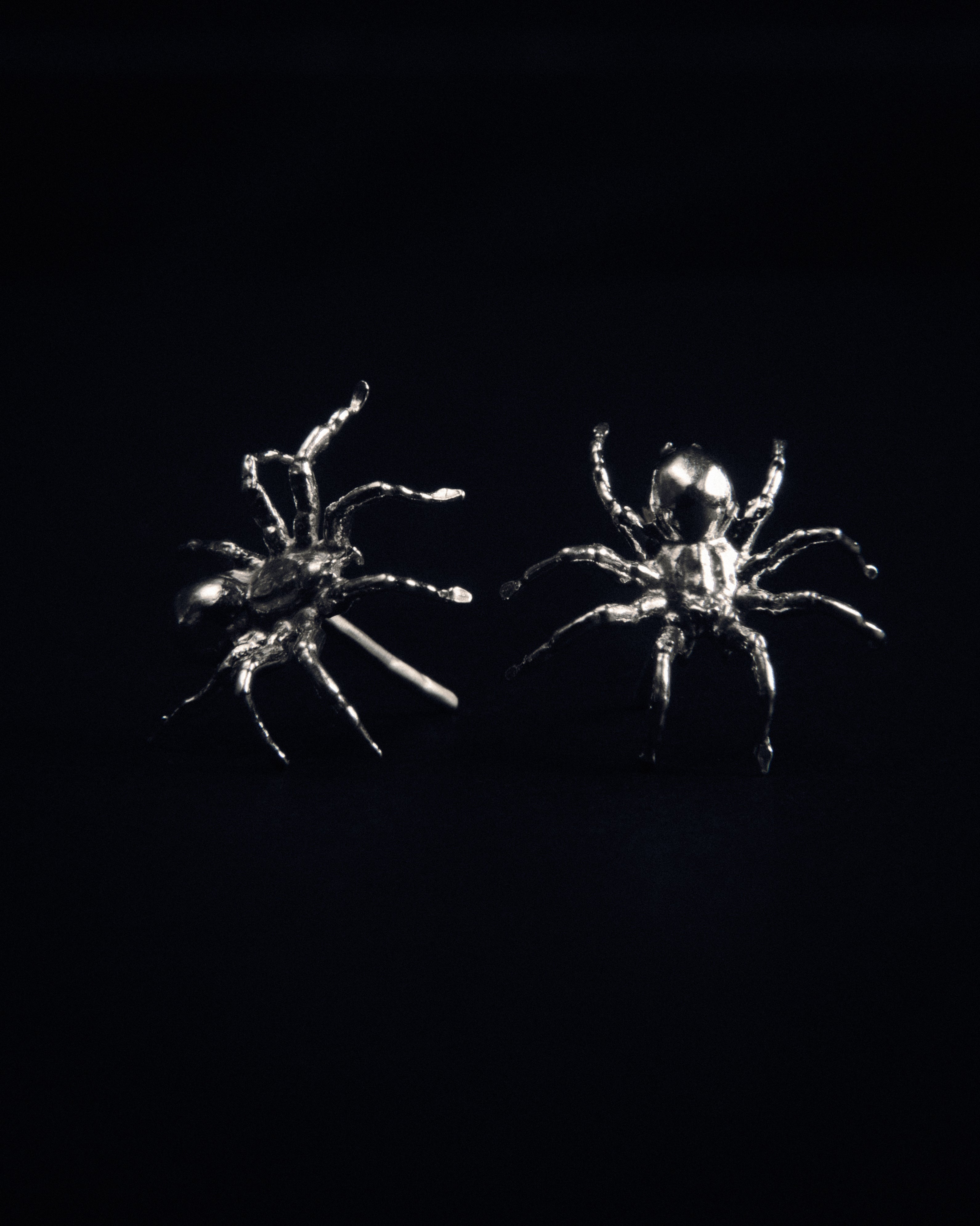 ARAÑA EARRINGS