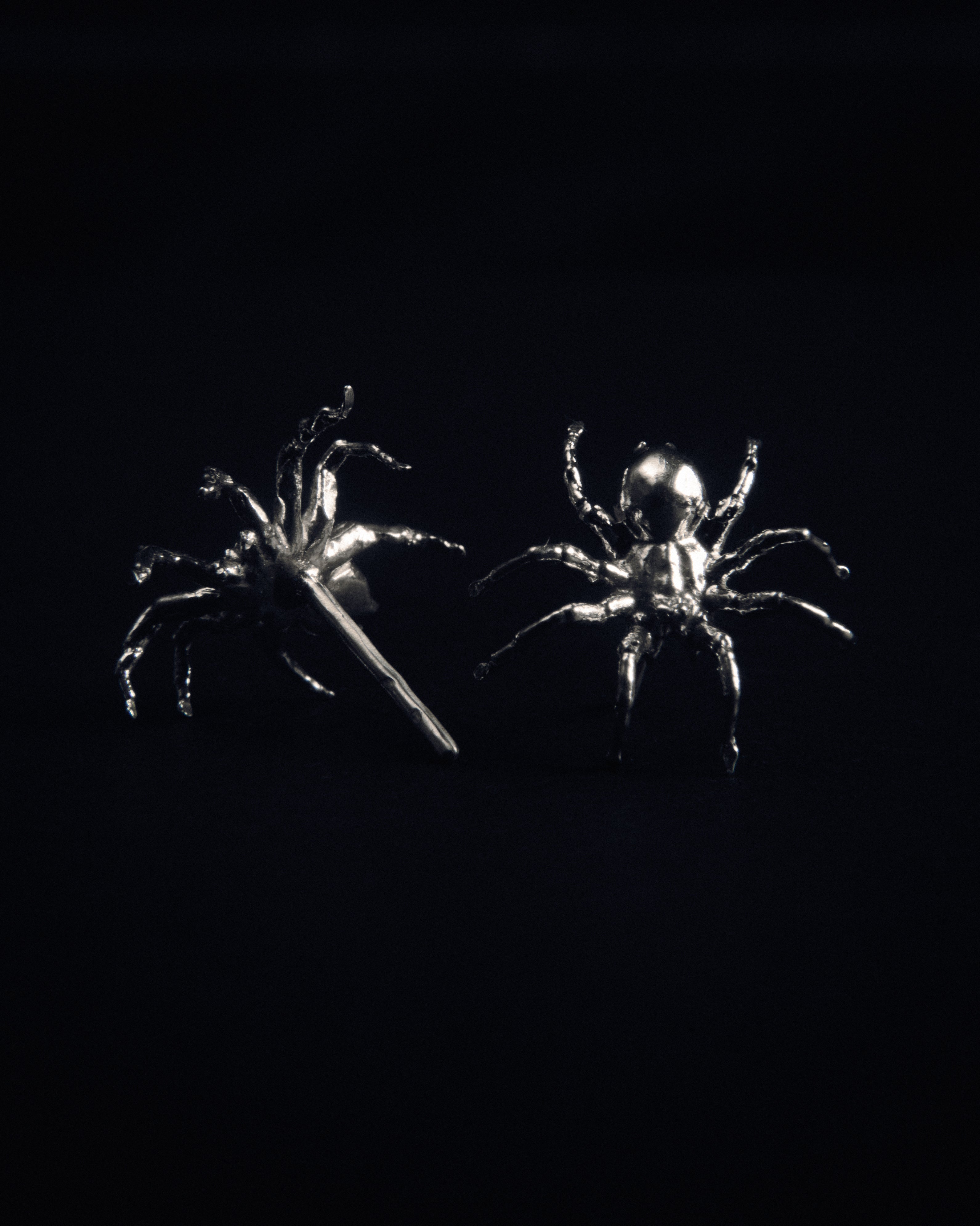 ARAÑA EARRINGS
