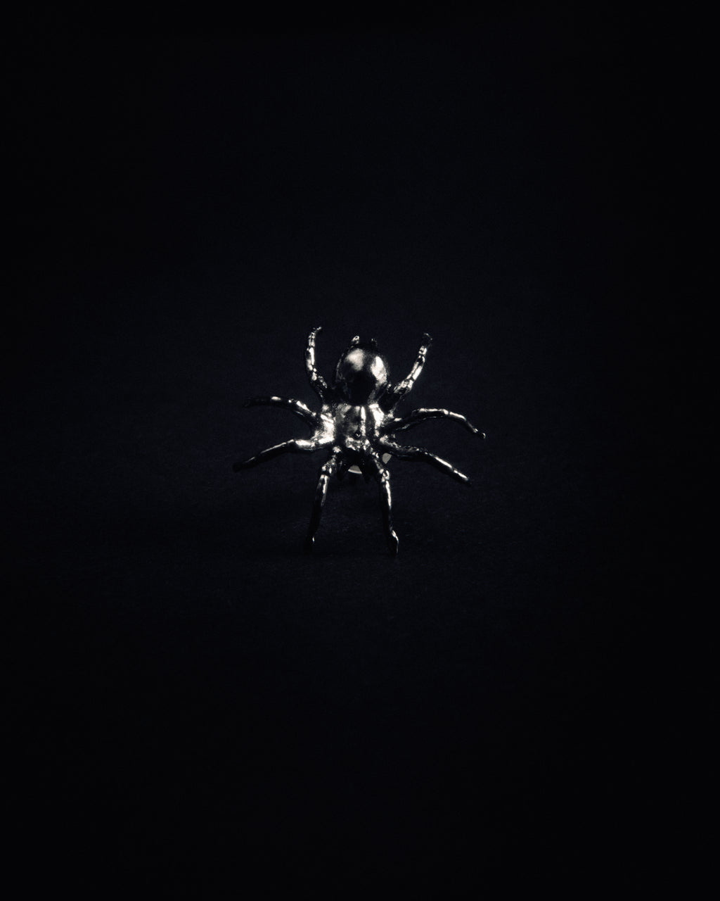 ARAÑA EARRINGS